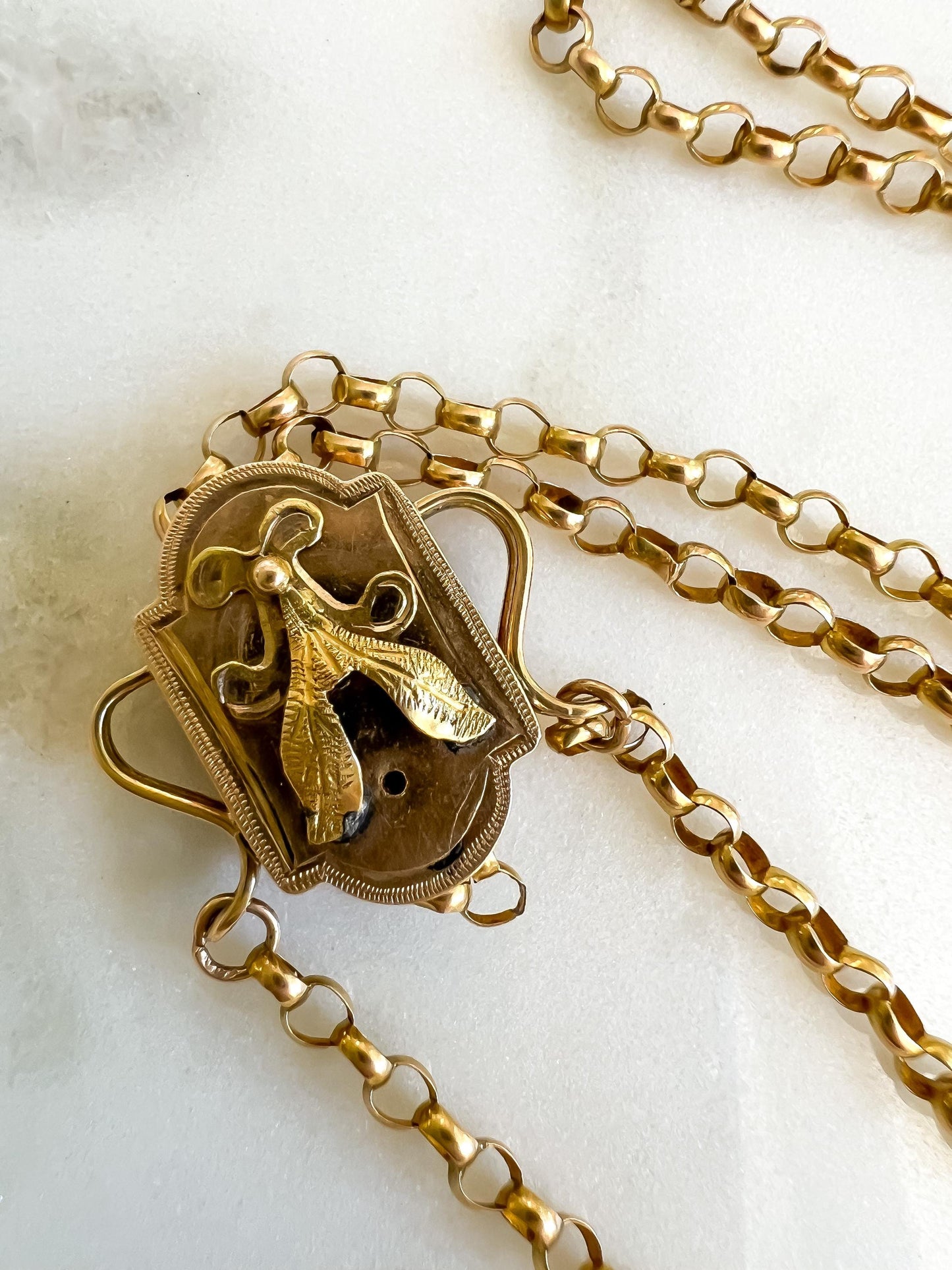 Victorian Gold Long-Guard Chain Necklace with Enamel Details