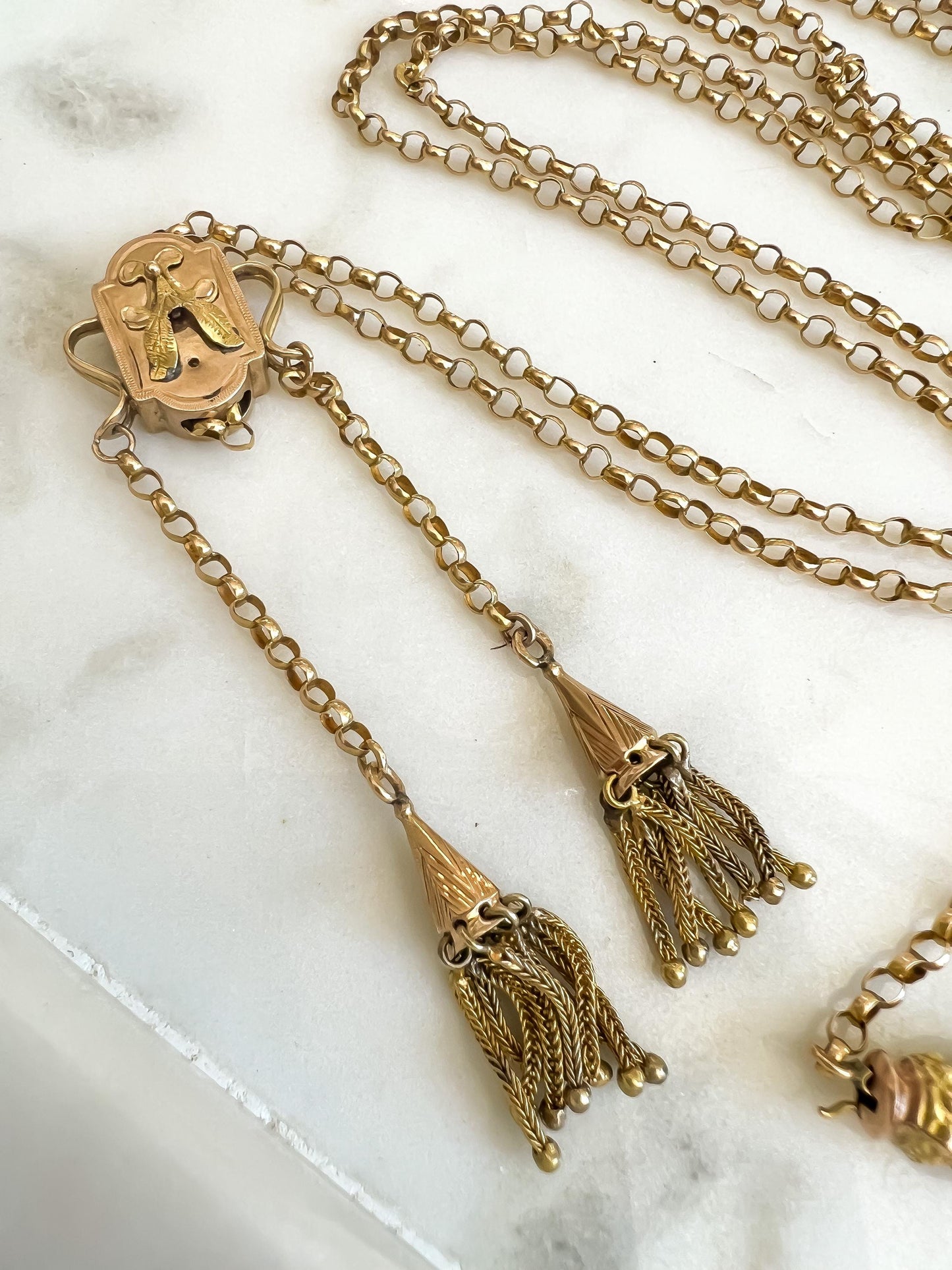 Victorian Gold Long-Guard Chain Necklace with Enamel Details