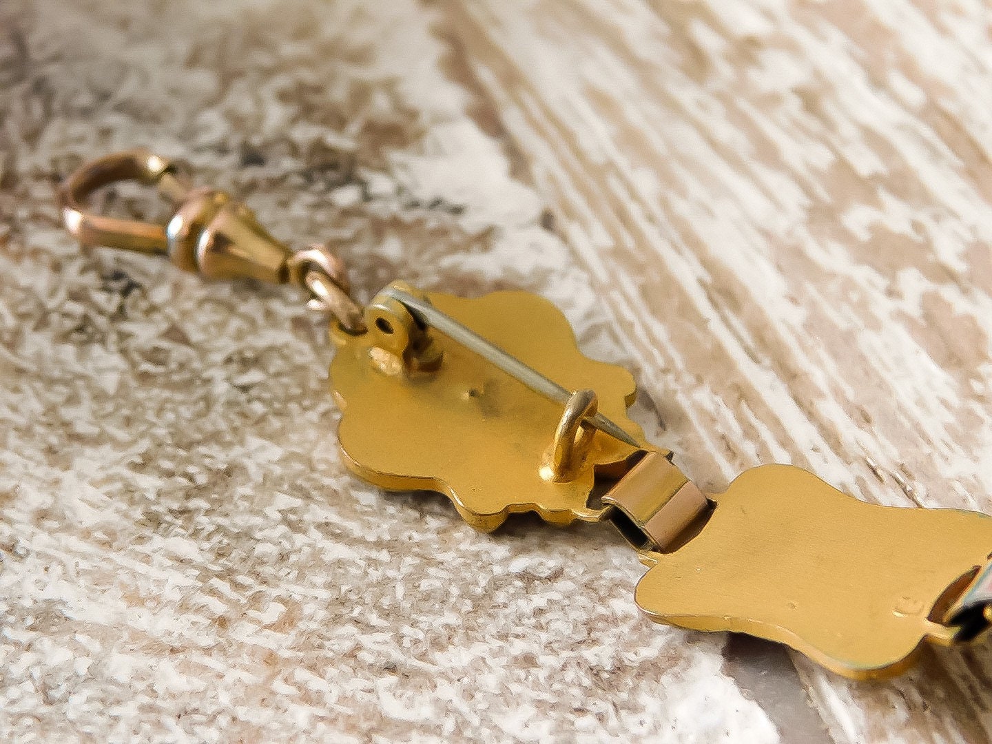 Victorian Bracelet with Dog Clip and Pin